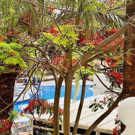 Castle Harbour Melanie'S Apartment By Lovetenerife Los Cristianos  Exterior photo
